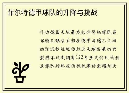 菲尔特德甲球队的升降与挑战